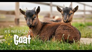 Meet the Farmer: Kentucky State University Targeted Grazing
