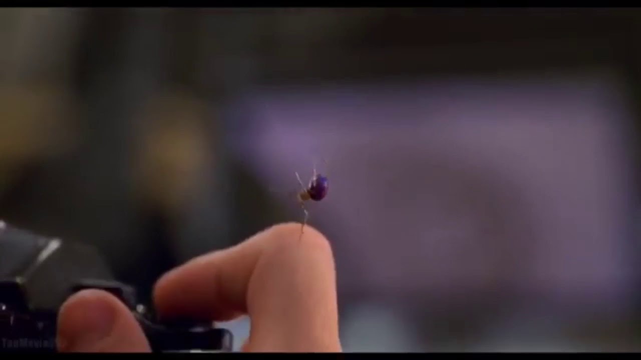 Радиоактивный паук в реальной жизни. Капкан фильм 2019 крокодил. Нэшнл джиографик телескоп. Something bit me. Super.