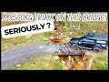 The Surprising Dangers of Choosing the Perfect Campsite