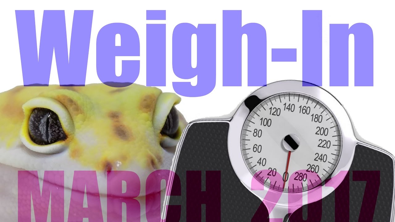 beardies and grapes MARCH 2017 WEIGH-IN