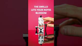 Say Hello to Swello