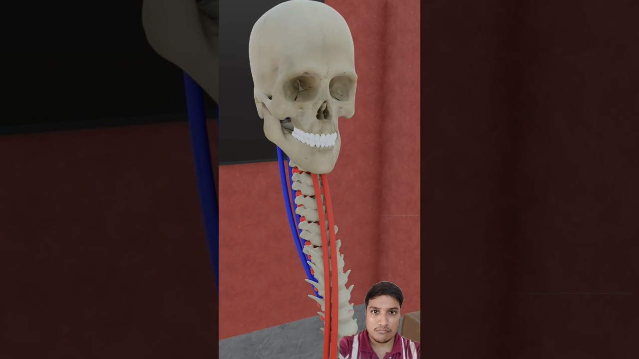 क्या आप ऐसा कर सकते हैं 🤔 