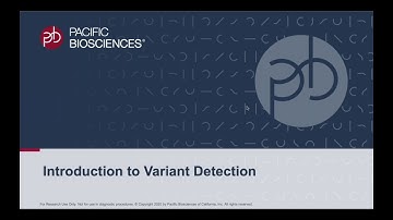 Application Tutorial: Introduction to Variant Detection with HiFi Reads