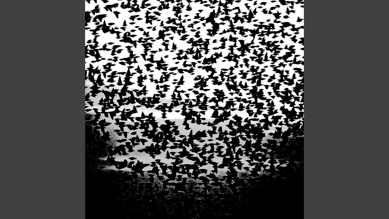 Dune adlı videoyu YouTube'da izle Dune adlı videoyu YouTube'da izle