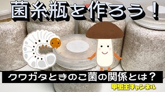 菌糸瓶 Youtube
