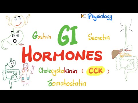 Video: Gastrointestinal hormones. What is their role?