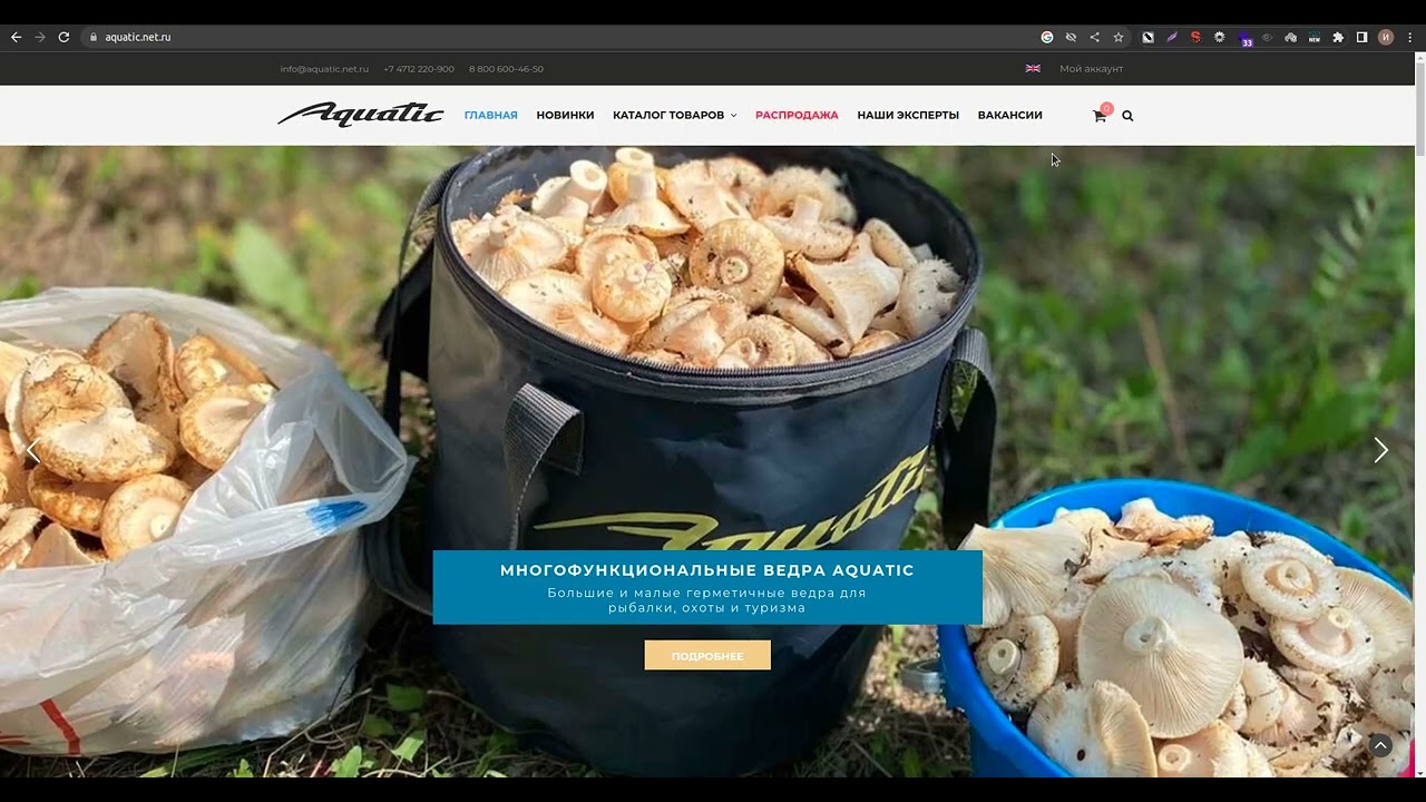 SEO-аудит проекта aquatic.net.ru (Интернет-магазин рыболовной экипировки)