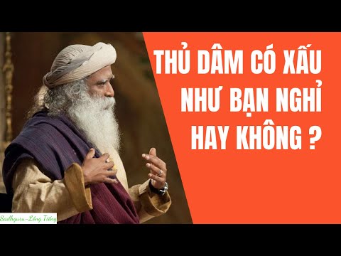 Thủ Dâm Có Phải Là Hành Động Xấu Và Vi Phạm Đạo Đức Không? | Sadhguru Lồng Tiếng # 7