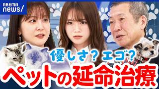 【ペットの終末期】新薬開発で猫の平均寿命15歳→30歳に?延命治療は飼い主のエゴなのか?看取りの覚悟とは｜アベプラ