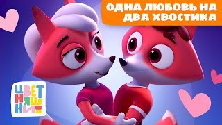 видео: Одна любовь на два хвостика | Цветняшки мультики для детей | сборник картинка: Одна любовь на два хвостика | Цветняшки мультики для детей | сборник