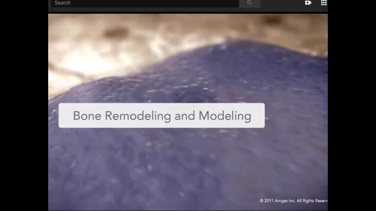 Appositional Bone Growth & Bone Remodeling