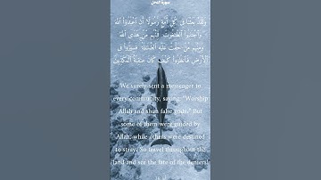 سورة النحل من الأية 36 الى 37 ناصر القطامي