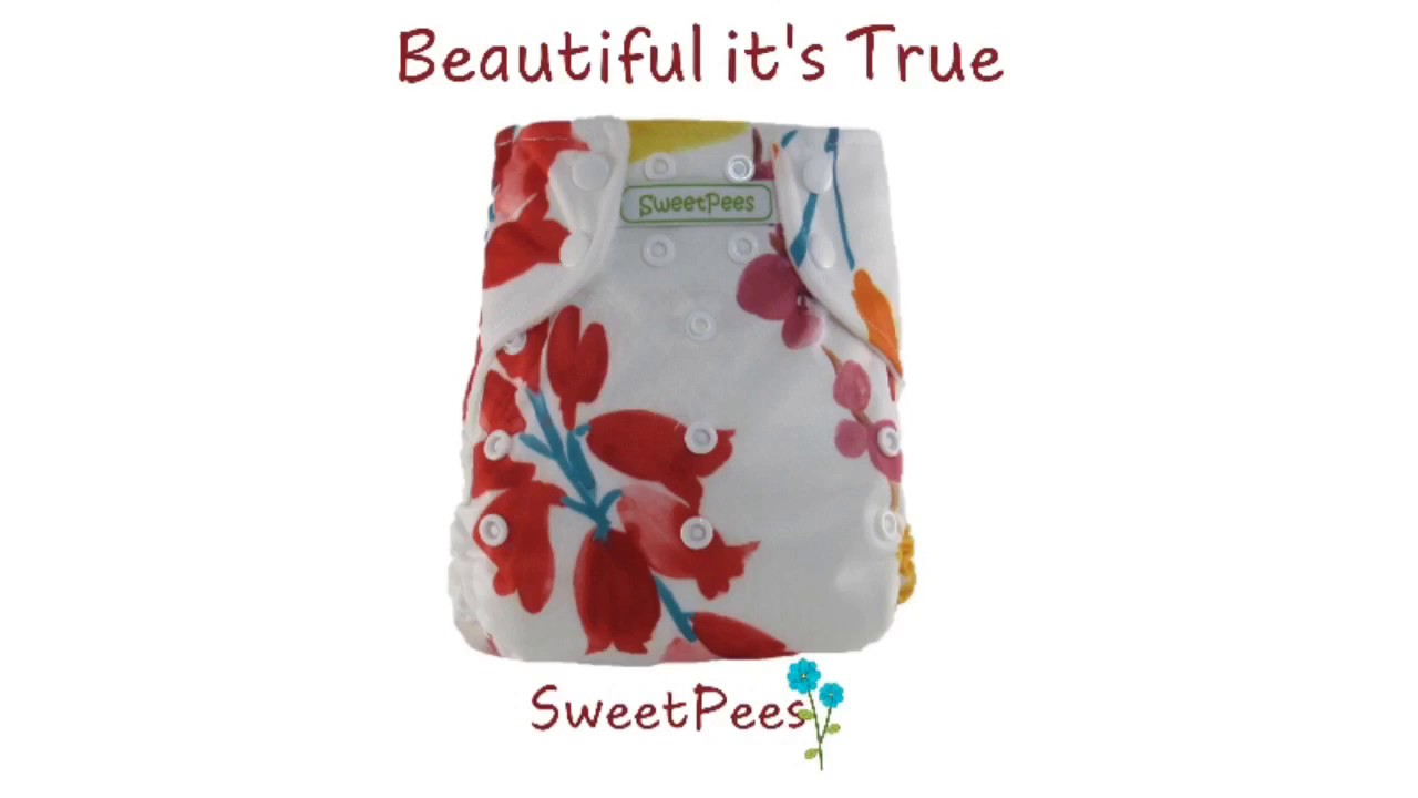 SweetPees Cloth Diapers with Free Large Zorb II Prefold Organic Cotton Insert