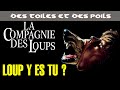 La compagnie des loups de neil jordan  critique  analyse