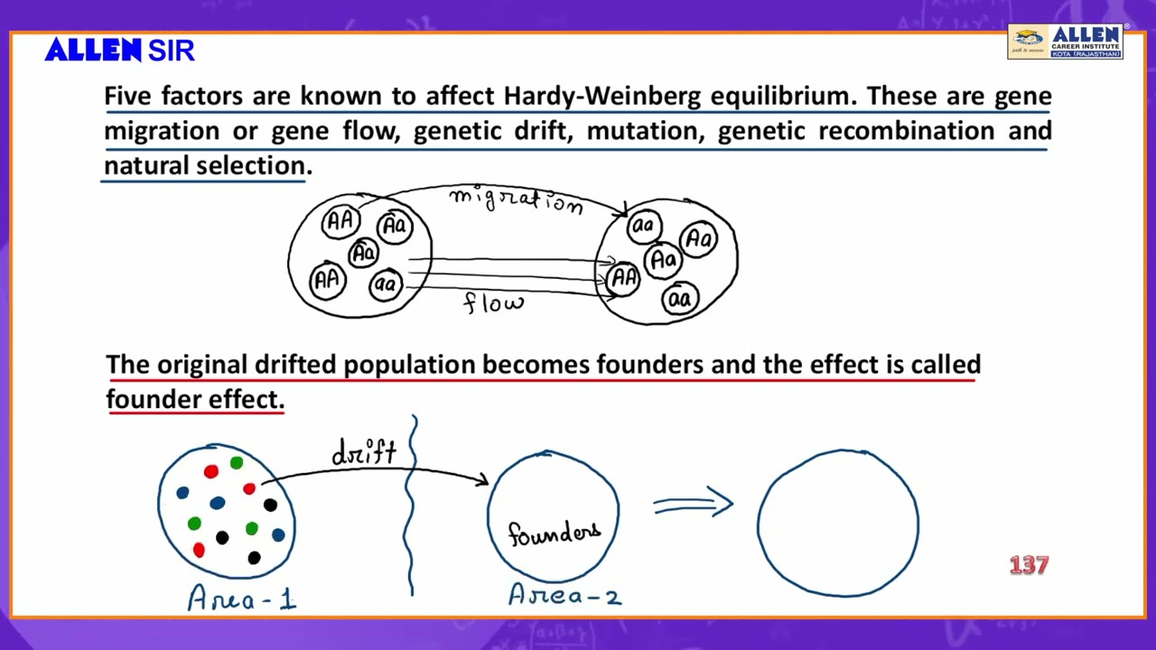 BIOLOGY Sample Video Lecture 'FOUNDER EFFECT' ALLEN SIR for NEET (UG