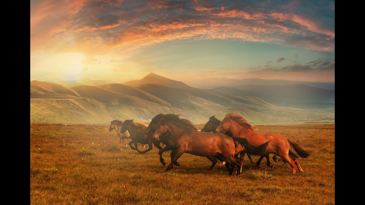 Дхо в казахстане
