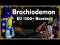 Brachiodemons  solo hunt para high lv  ed 1300  boosted