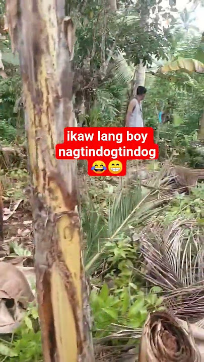 Manglampas di magtindogtindog  ra #cleaning #churchlot #trending #viralvideo #shortvideo