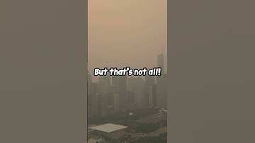 Did you know The Ocean produce half of the worlds oxygen?