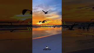 Download Lagu Search For Jannah not will be End.! ⏳️☝🏻✨️ #Allah #Quran #Prophet #Dua #islamic_video MP3