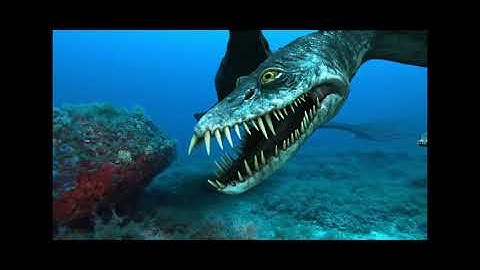 Plesiosaurus animation