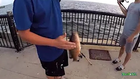 Urban Fishing Town Square - Downtown Pensacola Flo...