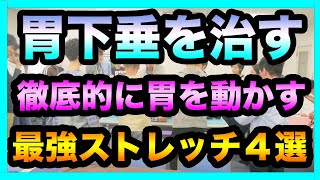 胃下垂の治し方 内臓 胃の硬さを徹底的に回復するストレッチ４選 胃の解剖生理 Youtube