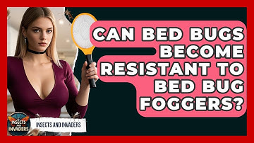 Can Bed Bugs Become Resistant To Bed Bug Foggers? - Insects and Invaders