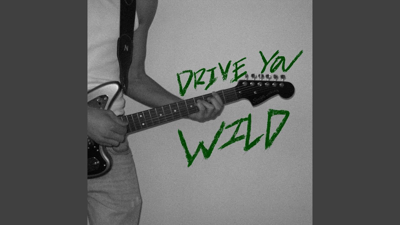 DRIVE YOU WILD