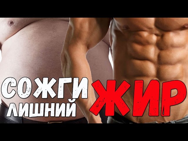 Как сжечь жир и сохранить мышцы