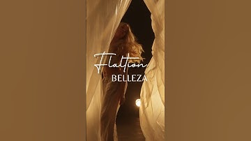 Canva Fonts That Work Well Together  - Part 1