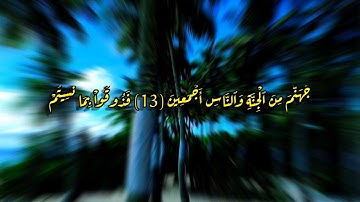 تلاوة تريح النفس السجدة  القارئ رعد الكردي