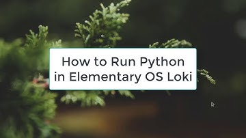 How to Run Python in Elementary OS 0.4 | Python in Elementary OS Loki