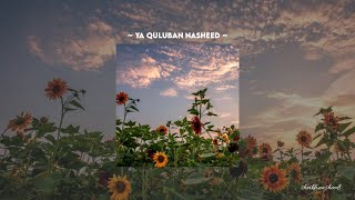 Ya Quluban |Slowed & Reverb| Shxikh Nasheeds