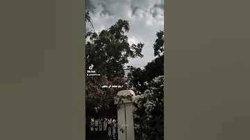 عفتني بلا وداع 