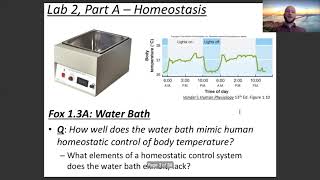 Famous Lab 2 Experiment and Data Collection Profile
