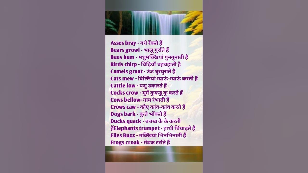 Short english To Hindi Meaning english englishspeaking basic-english-word-meaning-1-l-daily-use-english-words-english-to