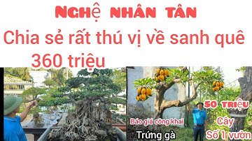 Báo Giá công khai 360 triệu tác phẩm sanh quê siêu già và 50 triệu cây trứng gà siêu VIP 