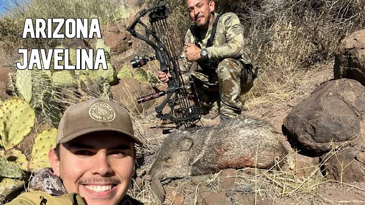2024 Arizona Archery Javelina Hunt/ Caceria De Jabalin Con Arco En Arizona