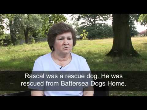 Rescue Hearing Dog of the Year 2010 winner Rascal ...