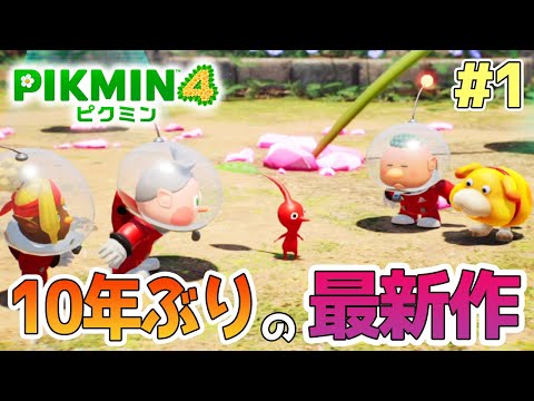【ピクミン4】体験版がリリースされたので新しい世界で遊びまくってみる!! #1【PIKMIN4】【ぽんすけ】