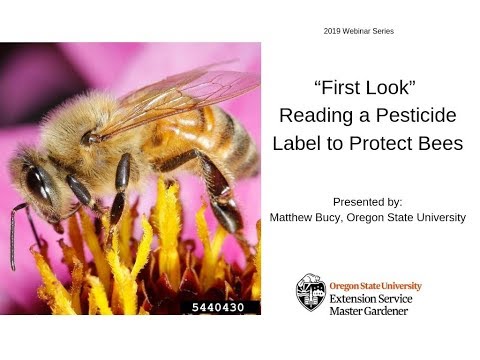वीडियो: मधुमक्खियों को नुकसान पहुंचाने वाले कीटनाशकों पर लेबल: मधुमक्खी के खतरे की चेतावनी का क्या मतलब है