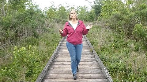 Minimum Spanning Tree (Computational Geometry Concepts, Episode 2)