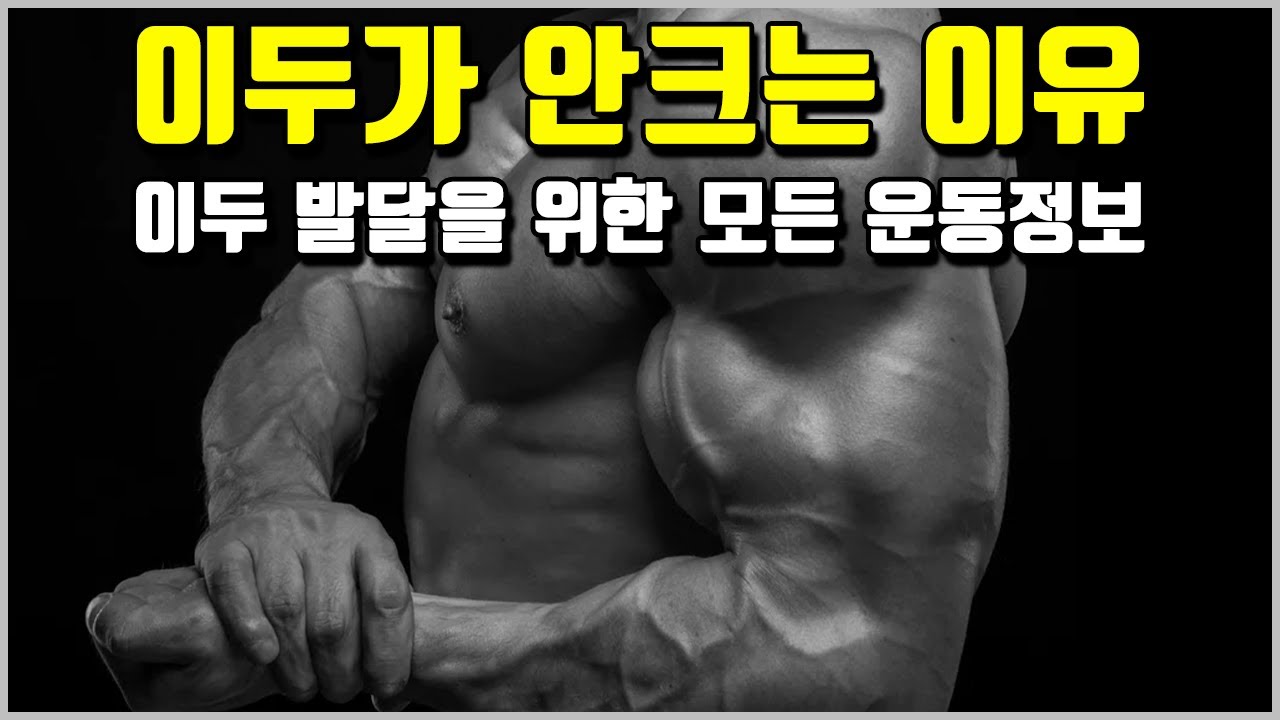 이두 운동의 모든 운동 정보[영상 한편으로 이두 기능 마스터 가능]