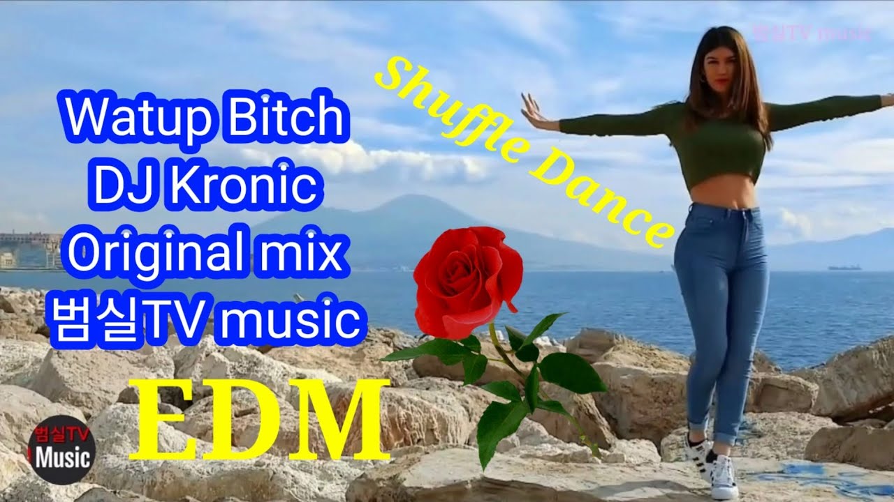 Dj Kronic Watup Bitchfeat Flygirl Teeoriginal Mix Youtube 