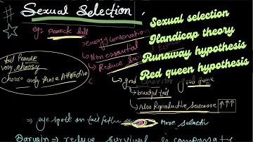 Sexual selection evolution| handicap theory & runaway hypothesis | red question hypothesis csir net.