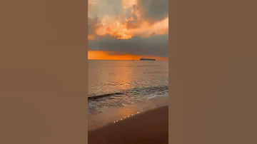 عمرو دياب عودوني عمرو دياب 