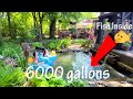 Recreation swim koi pond DIY build 6,000 gallons DIY (expanding old 1000 gal koi pond)