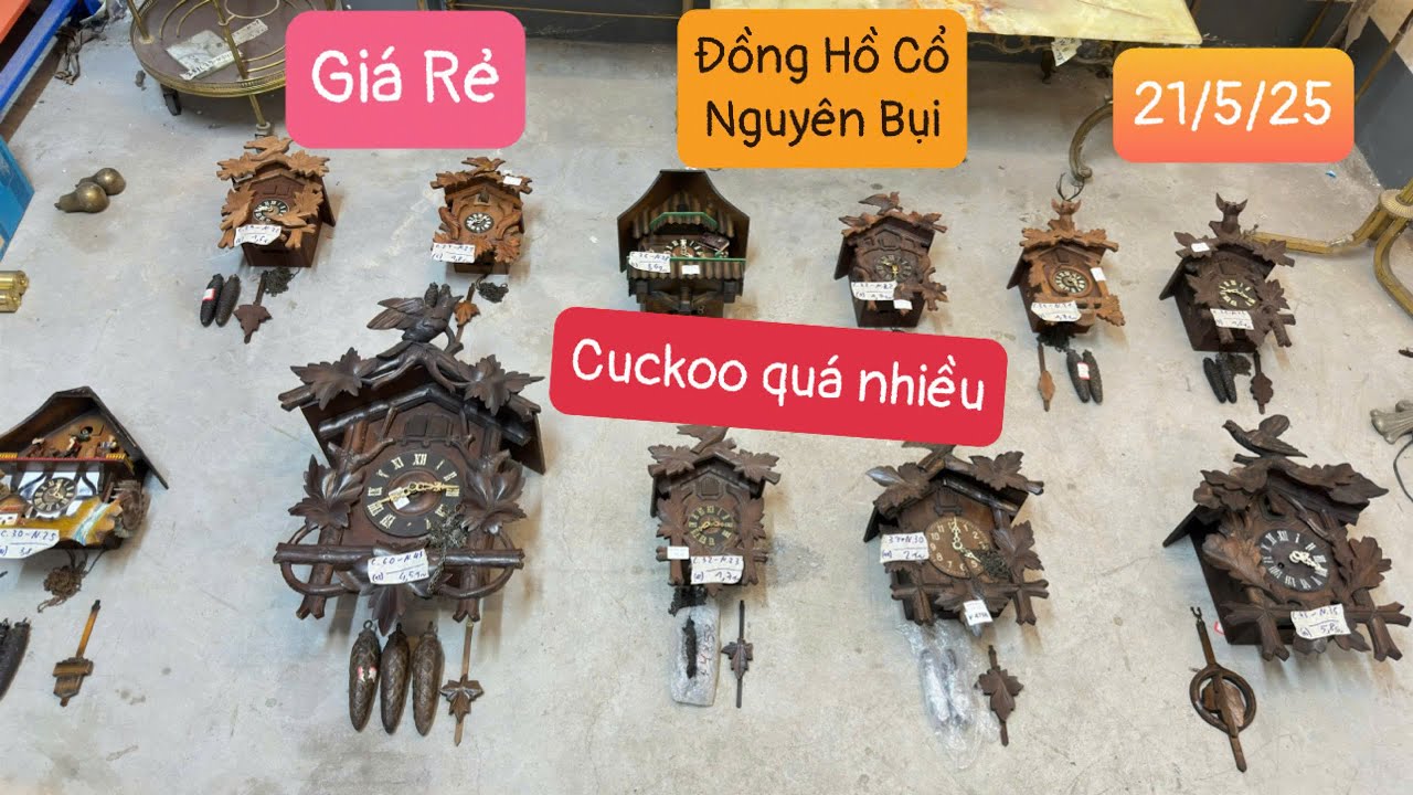 Phiên 21/5 Đồng Hồ Cuckoo Tuyển Chọn Giá Đẹp | 0961.641.684 [Hàng Bụi Châu Âu]