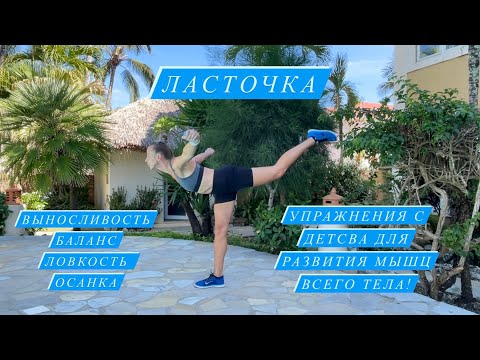 Ласточка упражнения для